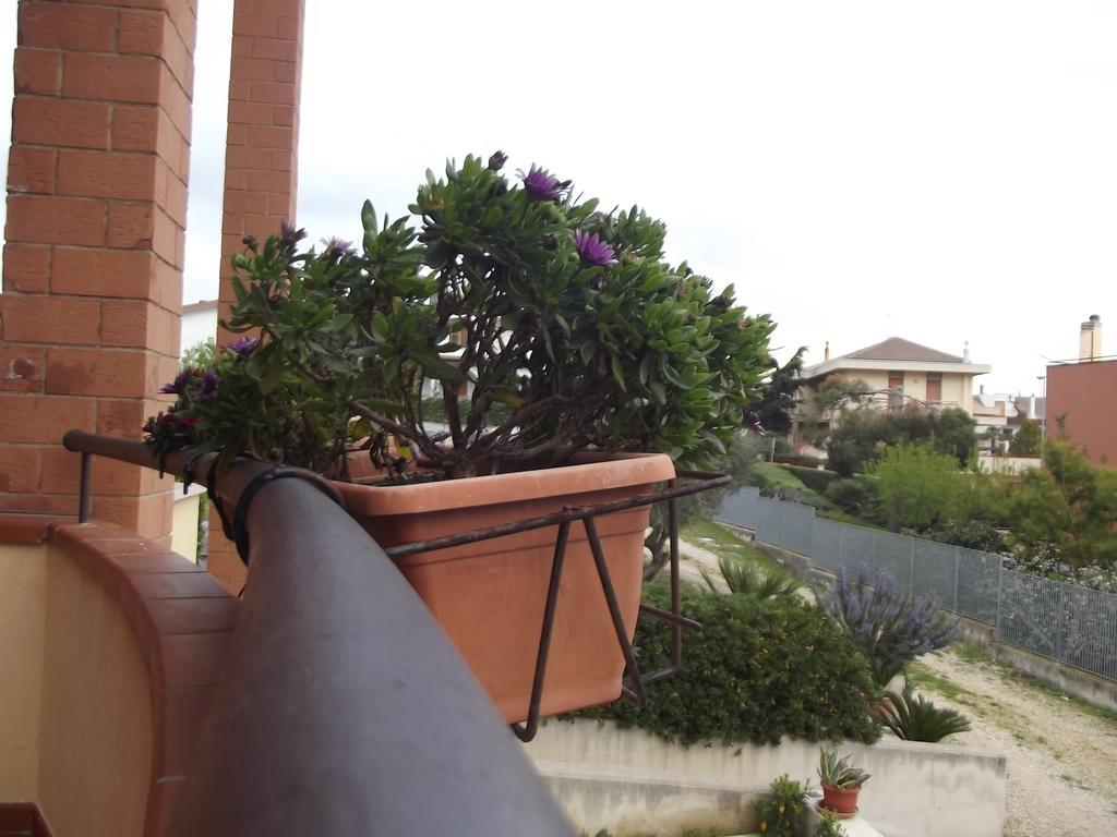 La Specchia Bed and Breakfast Matera Exteriör bild